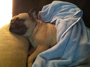 Marshall Jolie-Pitt snoozing