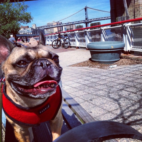 Marshall Jolie Pitt by the seaport